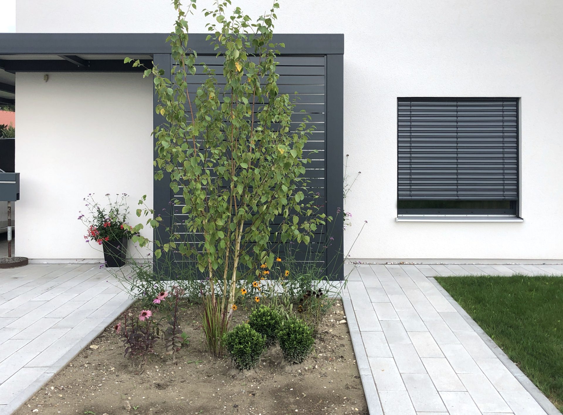 PREMIUM lamelna ograja